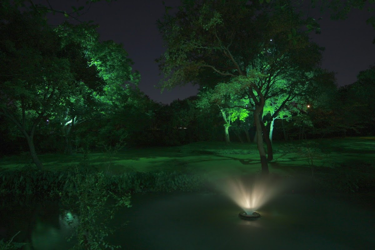 E2 Illumination Designs