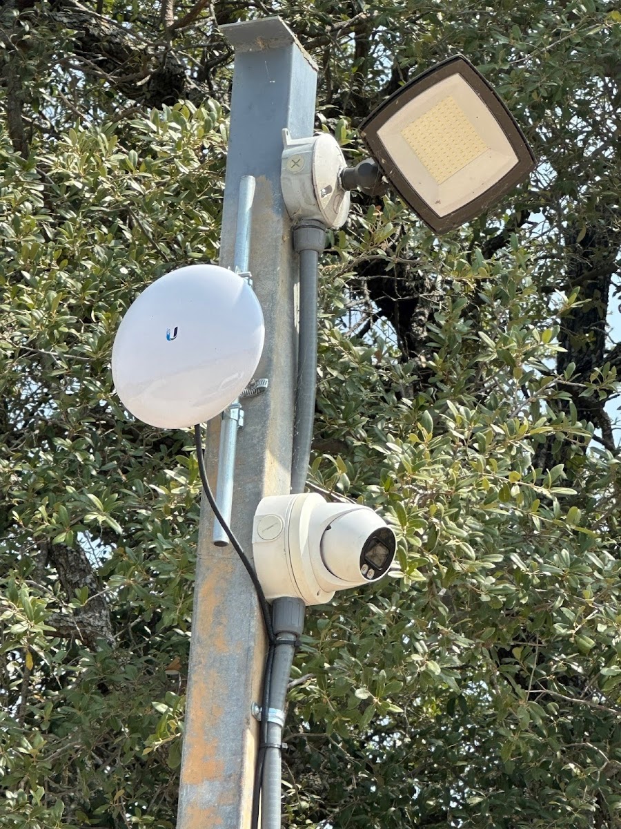 Gladiator Security Solutions-North Texas